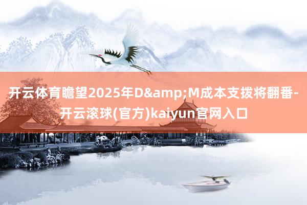 开云体育瞻望2025年D&M成本支拨将翻番-开云滚球(官方)kaiyun官网入口
